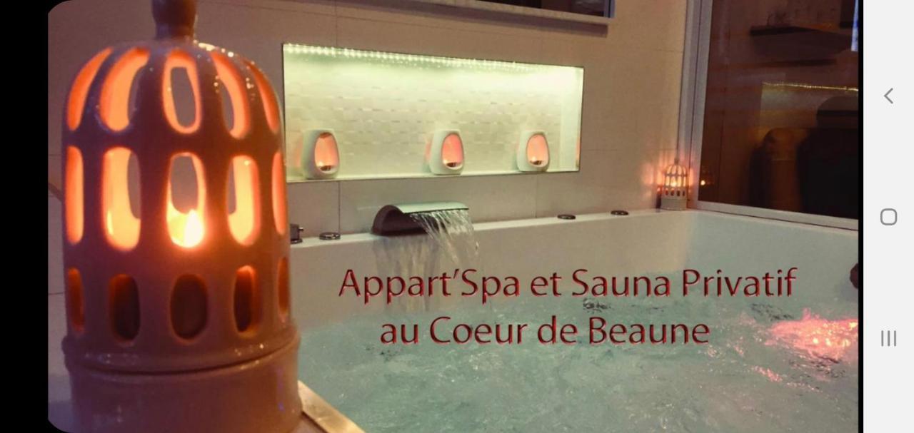 Appart' Spa Et Sauna Privatif Au Coeur De Beaune 외부 사진