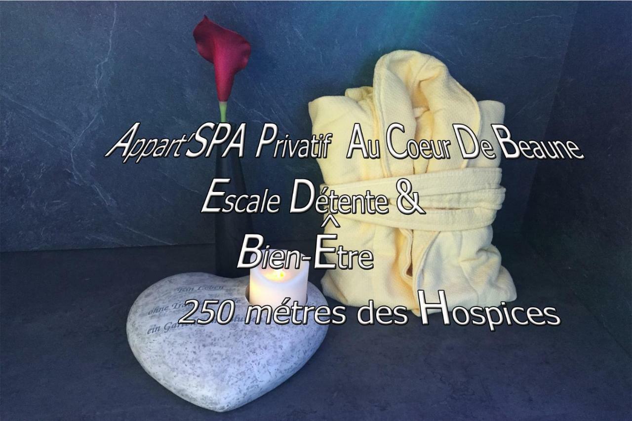 Appart' Spa Et Sauna Privatif Au Coeur De Beaune 외부 사진